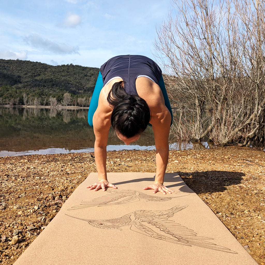 Yogini en corbeau sur le tapis de yoga en liège Flying Jewels de ZenMotion orné de deux colibris en miroir, symboles de joie, résilience et d’harmonie. Ce design épuré et symétrique invite à une pratique fluide et mindful, parfaite pour la méditation ou le Vinyasa. Le liège naturel offre une adhérence ultime, antidérapante et confortable, idéale pour améliorer votre équilibre et votre alignement. Éco-responsable et élégant, ce tapis allie fonctionnalité et beauté. Chaque séance est expérience spirituelle