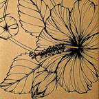 Summer Flowers