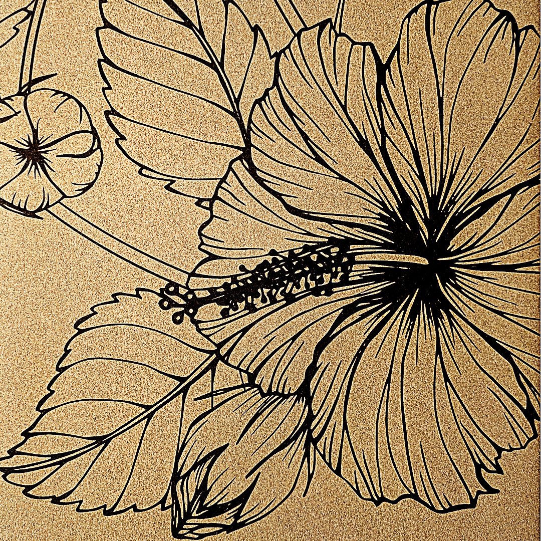 Summer Flowers